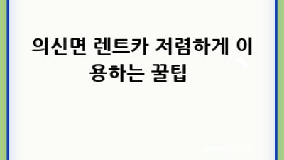 진도 의신면 렌트카 여행 🚗 나에게 딱 맞는 차는?