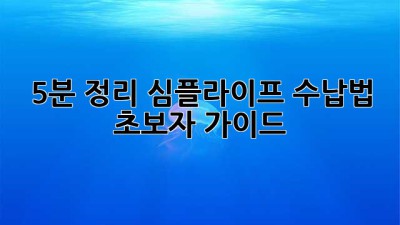 5분 정리! 심플라이프 수납법 초보자 가이드